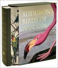 Audubons Birds of America -