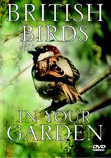 British Birds in Your Garden