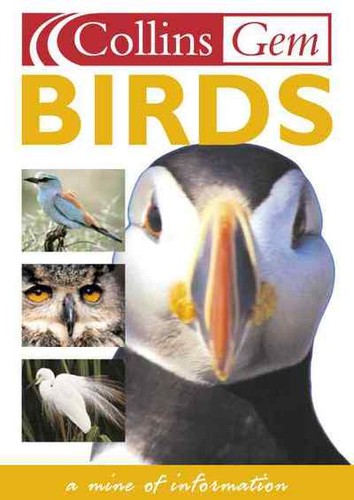 Birds free - birds,