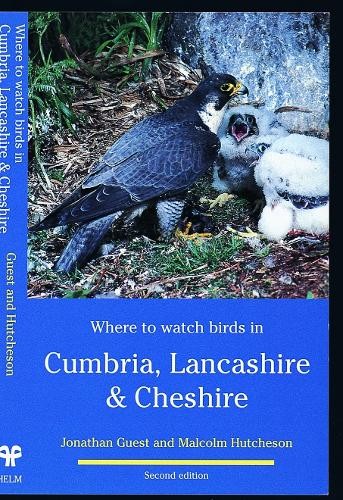 Where watch birds in - where,