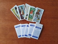 BROOKE BOND TEA CARDS - WILD