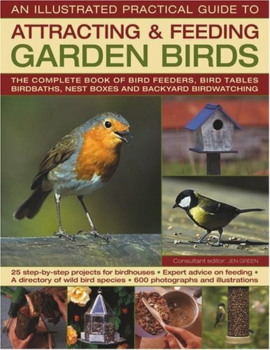 The illustrated practical - illustrated,