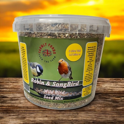 Wild bird seed robin songbird - seed,