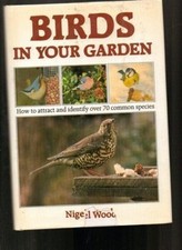 Birds in Your Garden: How to