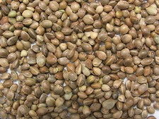 Wild Bird Seeds Organic Hemp