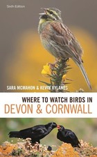 Where to Watch Birds in Devon