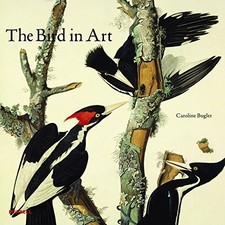 The Bird in Art by Caroline