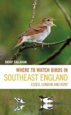Where to Watch Birds in