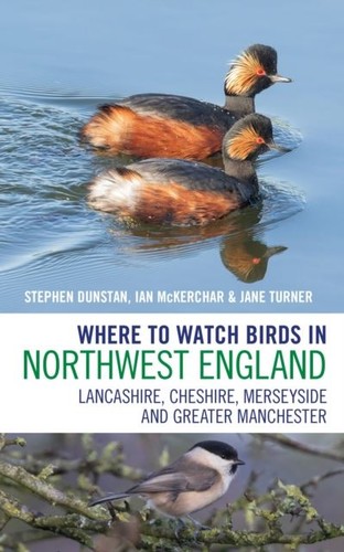 Where watch birds - watch, in