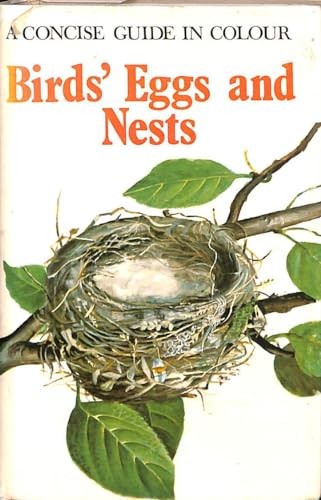 Birds eggs and nests concise - birds',