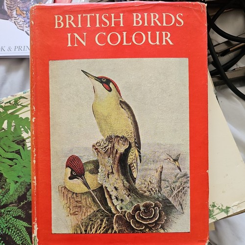 British birds colour - british, in