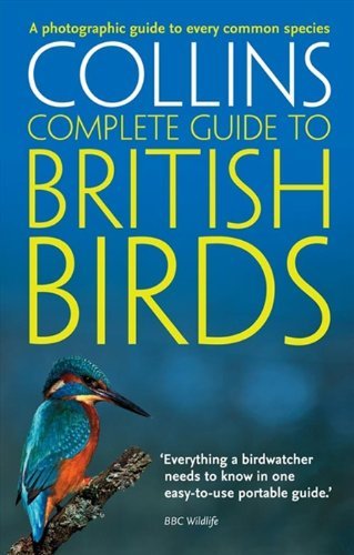 British birds photographic - a,