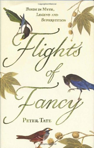 Flights fancy birds in - fancy:,