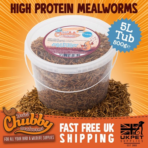 Litres high quality chubby - litres,