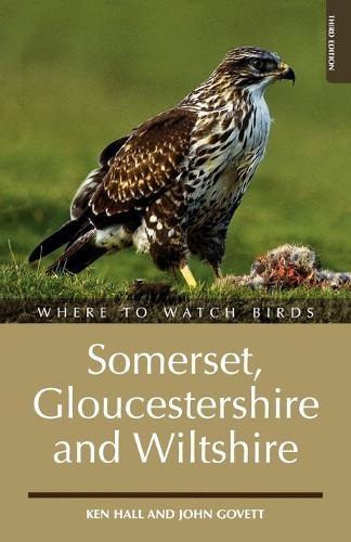Where watch birds in - birds,