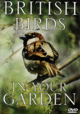 British Birds In Your Garden