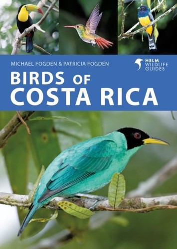 Birds costa rica michael - by,