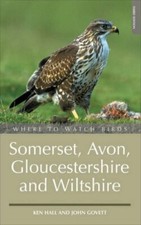 Where to Watch Birds in