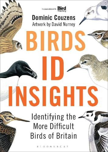 Birds insights - id,