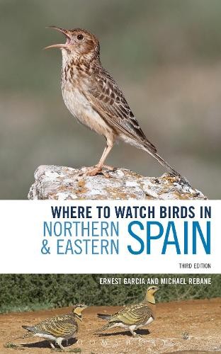 Where watch birds in - where,