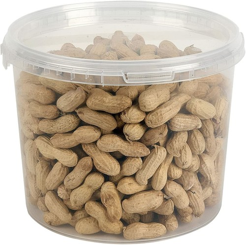 Monkey nuts peanuts shell - nuts,